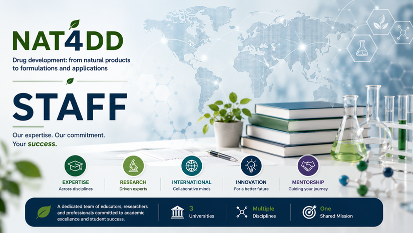 🤝 Meet the NAT4DD Academic Team